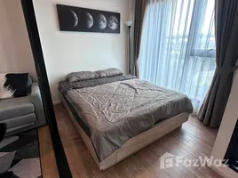 Estudio Departamento en alquiler en Modiz Sukhumvit 50, Phra Khanong, Khlong Toei, Bangkok, Tailandia