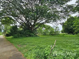  Terrain for sale in Chiang Mai, Don Kaeo, Mae Rim, Chiang Mai