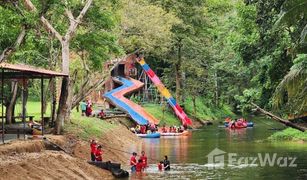 70 Schlafzimmern Hotel / Resort zu verkaufen in Kaeng Krachan, Phetchaburi 