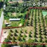  Land for sale in Song Salueng, Rayong, Song Salueng, Klaeng