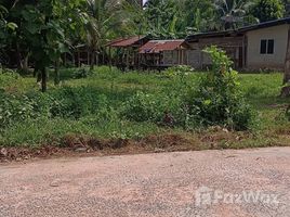 ขายที่ดิน ใน หนองโดน, บุรีรัมย์, หนองโดน, ลำปลายมาศ, บุรีรัมย์, ไทย