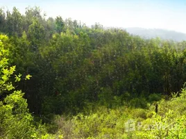  Terrain for sale in Valparaiso, Quilpue, Valparaiso, Valparaiso