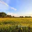  Land for sale in Chiang Rai, Rim Kok, Mueang Chiang Rai, Chiang Rai