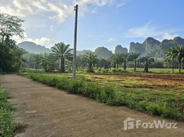  Terreno (Parcela) en venta en Tailandia, Nong Thale, Mueang Krabi, Krabi, Tailandia