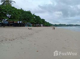 ขายที่ดิน N/A ใน บ่อผุด, เกาะสมุย 1 Rai Beachfront Land for sale near Chaweng Beach