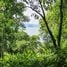  Land for sale in Phangnga, Ko Yao Noi, Ko Yao, Phangnga
