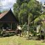 1 Bedroom House for sale in Ko Pha-Ngan, Surat Thani, Ko Pha-Ngan, Ko Pha-Ngan