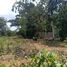  Land for sale in Prachin Buri, Si Maha Phot, Si Maha Phot, Prachin Buri