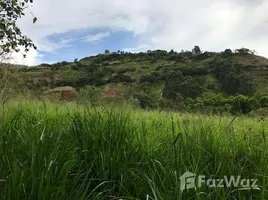  Terrain for sale in Loja, Vilcabamba Victoria, Loja, Loja