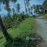ขายที่ดิน ใน ลิปะน้อย, สุราษฎร์ธานี, ลิปะน้อย, เกาะสมุย