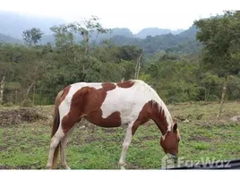  Terrain for sale in Manglaralto, Santa Elena, Manglaralto