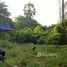  Land for sale in Phetchaburi, Cha-Am, Cha-Am, Phetchaburi