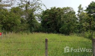 N/A Land for sale in Dong Chen, Phayao 