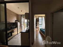 ขายคอนโด 1 ห้องนอน ในโครงการ ฮาสุ เฮ้าส์, พระโขนงเหนือ, วัฒนา