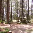  Terreno (Parcela) en venta en Baguio City, Cordillera, Baguio City, Benguet, Cordillera