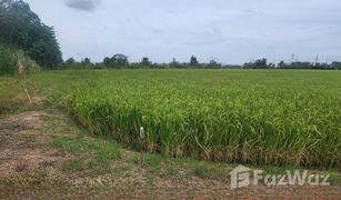 Земельный участок, N/A на продажу в Sam Ko, Phra Nakhon Si Ayutthaya 