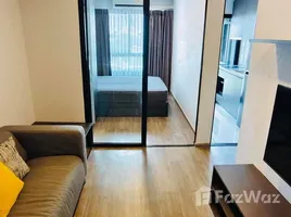 อพาร์ทเม้นท์ 1 ห้องนอน ให้เช่า ในโครงการ มอนเต้ พระราม 9, หัวหมาก, บางกะปิ