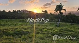 Available Units at Puerto Plata