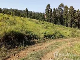  Land for sale in Makwanpur, Narayani, HetaudaN.P., Makwanpur
