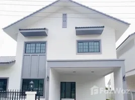 4 Bedroom House for sale in Thailand, San Phisuea, Mueang Chiang Mai, Chiang Mai, Thailand