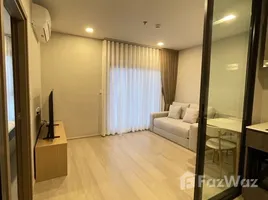 คอนโด 1 ห้องนอน ให้เช่า ในโครงการ ไลฟ์ ลาดพร้าว, จอมพล