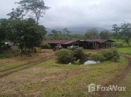 在Upala, Alajuela出售的 土地, Upala