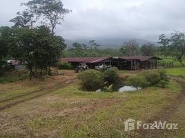  Terreno (Parcela) en venta en Alajuela, Upala, Alajuela