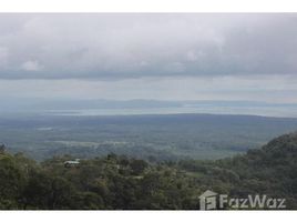  Terrain for sale in Osa, Puntarenas, Osa