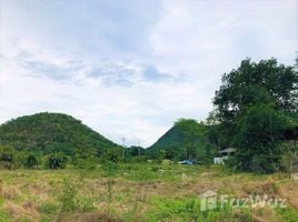  Земельный участок for sale in Mueang Kanchanaburi, Kanchanaburi, Wang Dong, Mueang Kanchanaburi