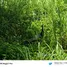  Land for sale in Nong Thale, Krabi, Nong Thale, Mueang Krabi, Krabi, Thailand