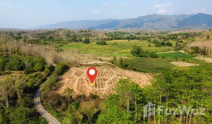 N/A Land for sale in Chiang Klang, Nan 
