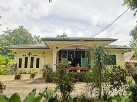 4 Bedroom House for sale in Ban Khwao, Chaiyaphum, Ban Khwao, Ban Khwao