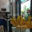 3 Bedroom House for sale in An Lac, Binh Tan, An Lac