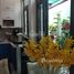 3 Bedroom House for sale in Binh Tan, Ho Chi Minh City, An Lac, Binh Tan