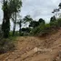 ขายที่ดิน ใน เกาะแก้ว, ภูเก็ต, เกาะแก้ว, เมืองภูเก็ต