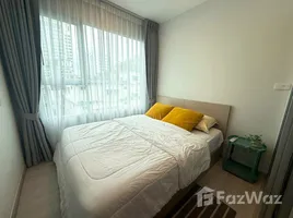 คอนโด 1 ห้องนอน ให้เช่า ในโครงการ พลัม คอนโด สุขุมวิท 62, บางจาก