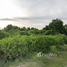  Land for sale in A Noru, Mueang Pattani, A Noru