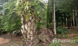 N/A Land for sale in Rommani, Phangnga 