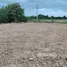  Land for sale in Thawi Watthana, Nonthaburi, Thawi Watthana, Sai Noi, Nonthaburi