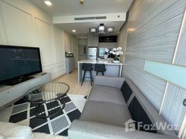 Cetus Beachfront で賃貸用の 1 ベッドルーム マンション, ノン・プルー