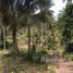 N/A Land for sale in Maenam, Koh Samui Land For Sale Closed To Santiburi Country Club