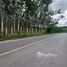  Земельный участок for sale in Thep Krasattri, Пхукет, Thep Krasattri, Тхаланг