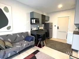 คอนโด 1 ห้องนอน ให้เช่า ในโครงการ เดอะ คีย์ เอ็มอาร์ที เพชรเกษม 48, บางหว้า, ภาษีเจริญ, กรุงเทพมหานคร