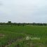  Land for sale in Tabanan, Bali, Kediri, Tabanan