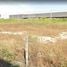  Land for sale in Bang Pla, Samut Prakan, Bang Pla, Bang Phli, Samut Prakan