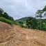ขายที่ดิน ใน สาคู, ภูเก็ต, สาคู, ถลาง, ภูเก็ต