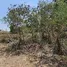  Land for sale in Sattahip Chon Buri, Bang Sare, Sattahip, Chon Buri