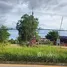  Land for sale in Nam Chun, Phetchabun, Nam Chun, Lom Sak