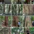  Terreno (Parcela) en venta en Padang Bolak, North Sumatera, Padang Bolak, Tapanuli Selatan, North Sumatera