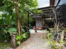 3 chambre Villa for sale in Phuket, Pa Khlok, Thalang, Phuket